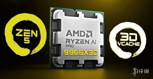 曝AMD或推新型16核专业处理器Ryzen 9 PRO 9965X3D(图2) 2