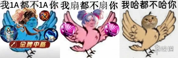 互联网新宠:鸽子舞王凭“雷霆舞姿”血洗全网(图12) 12