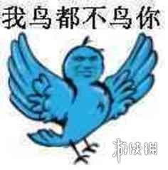 互联网新宠:鸽子舞王凭“雷霆舞姿”血洗全网(图11) 11