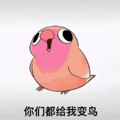 互联网新宠:鸽子舞王凭“雷霆舞姿”血洗全网(图16) 16