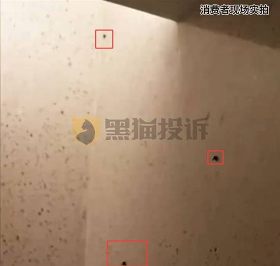 1600元一晚的酒店墙上爬满活虫 只补偿积分和一盒茶叶