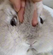 一种入侵现实的游戏,打造了最硬核的解谜(图21) 游民星空