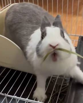 一种入侵现实的游戏,打造了最硬核的解谜(图22) 游民星空