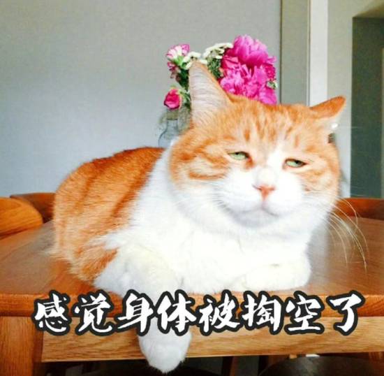 为什么一到年底就感觉身体被掏空:陷入“慢性疲劳”(图1) 游民星空