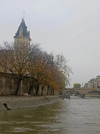 老辈子拍照，为啥让巴黎旅游变成了村口打卡