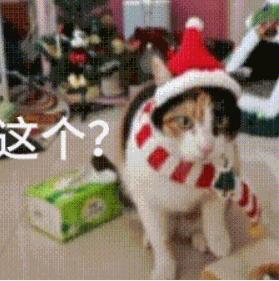 现在互联网上最火的猫，从“耄耋”变成了“萝卜纸巾猫”