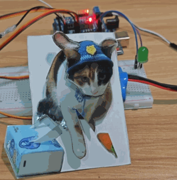 现在互联网上最火的猫，从“耄耋”变成了“萝卜纸巾猫”