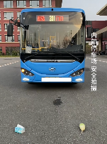 现在互联网上最火的猫，从“耄耋”变成了“萝卜纸巾猫”