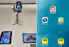 现在互联网上最火的猫，从“耄耋”变成了“萝卜纸巾猫”