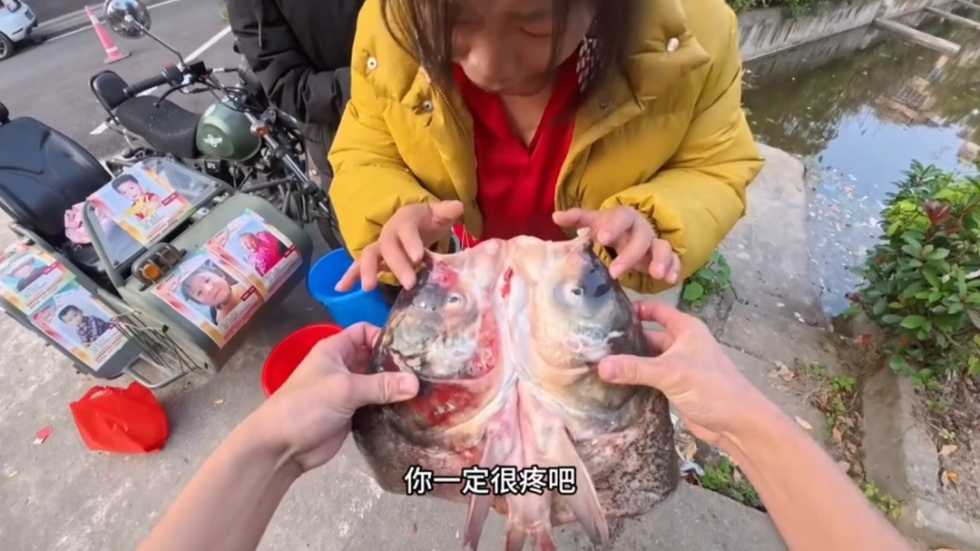 最新的顶级智斗爽剧，是钓鱼佬贴脸嘲讽放生大姨