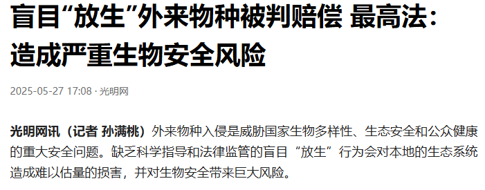 最新的顶级智斗爽剧，是钓鱼佬贴脸嘲讽放生大姨