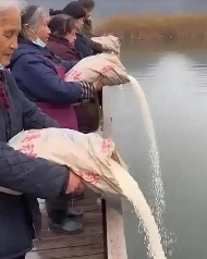 最新的顶级智斗爽剧，是钓鱼佬贴脸嘲讽放生大姨