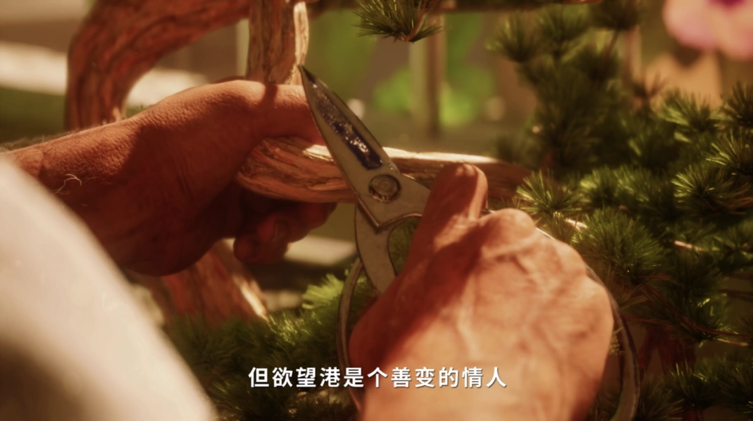 《NO LAW》制作组专访：因果自偿