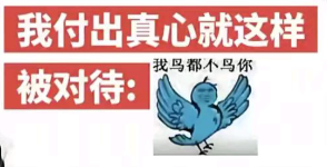糊得包浆的“我鸟都不鸟你”表情包，怎么成了不少网友的赛博嘴替？