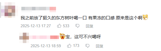 东方树叶变质长出的茶菌，怎么就成为了超越哈基米的宠物界顶流？