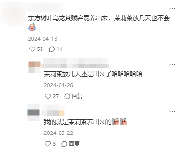 东方树叶变质长出的茶菌，怎么就成为了超越哈基米的宠物界顶流？