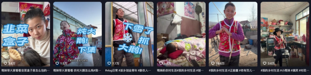 看完小雨妹和沧州老蒯的联动，东北雨姐没必要转世复活了