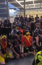 在大街上当狗的外国人，真的有了犬类自我认同？