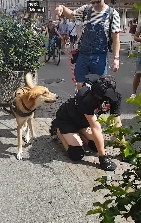 在大街上当狗的外国人，真的有了犬类自我认同？