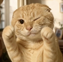 为什么在“金融DJ”后,各行各业都加入了“DJ宇宙”?(图22) 为什么在“金融DJ”后,各行各业都加入了“DJ宇宙”?