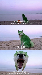 用AI生成的海边氛围三宫格，怎么内容变得越来越抽象了？