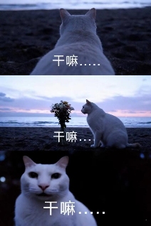 用AI生成的海边氛围三宫格，怎么内容变得越来越抽象了？