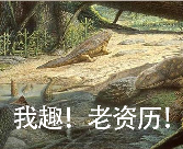 用AI生成的海边氛围三宫格，怎么内容变得越来越抽象了？