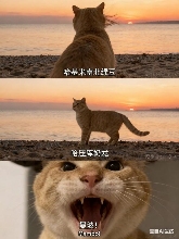 用AI生成的海边氛围三宫格，怎么内容变得越来越抽象了？