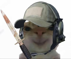 “没建模没经济”的“干嘛猫”，就不能收获属于自己的幸福吗？