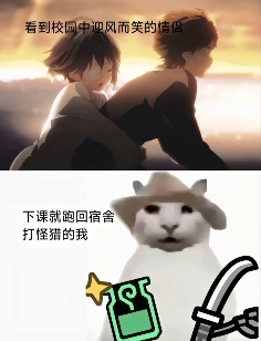 “没建模没经济”的“干嘛猫”，就不能收获属于自己的幸福吗？