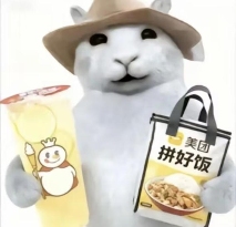 “没建模没经济”的“干嘛猫”，就不能收获属于自己的幸福吗？