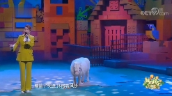 再度翻红的乌兰图雅,成了新的网络抽象圣体(图4) 再度翻红的乌兰图雅,成了新的网络抽象圣体