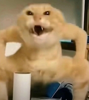 跟着圆头耄耋学跳舞,是日本美少女成为神人的必修课(图1) 跟着圆头耄耋学跳舞,是日本美少女成为神人的必修课