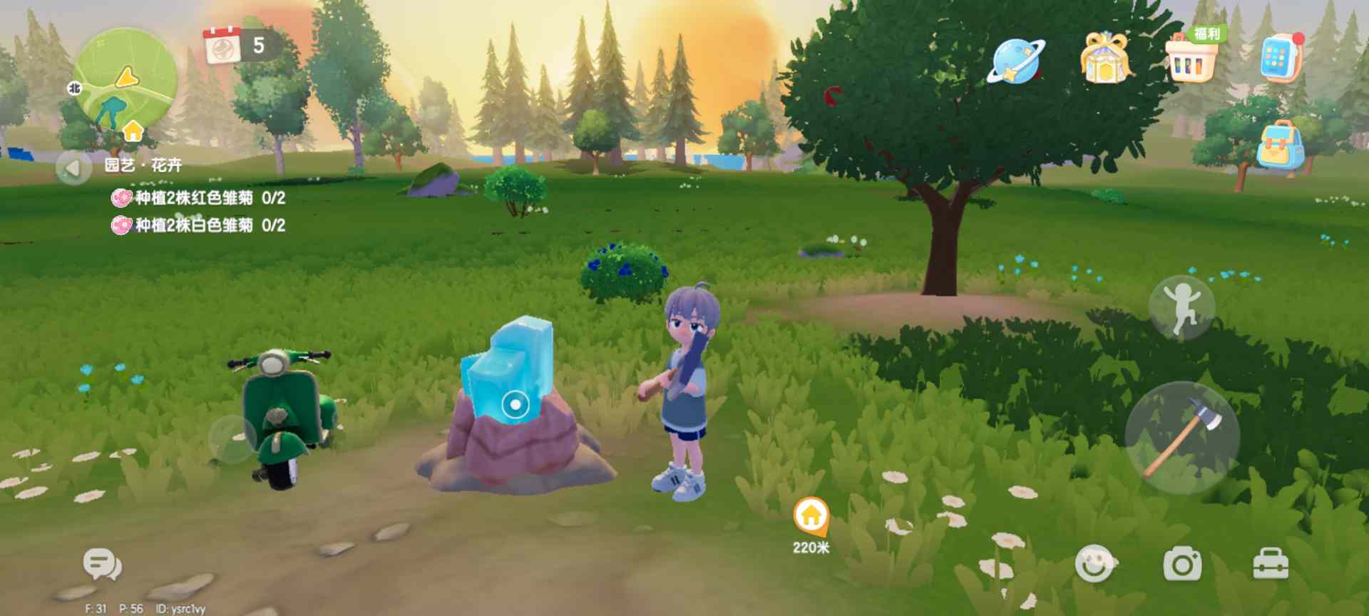 心动小镇每日萤石和橡木位置（持续更新中）(图26)