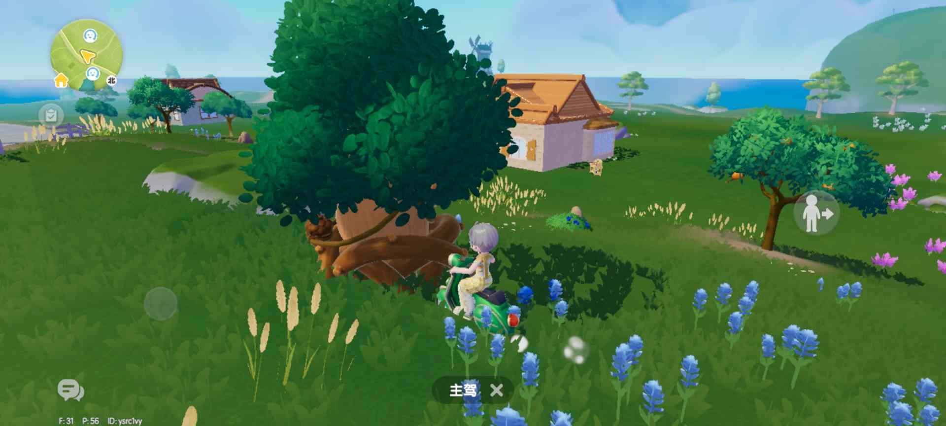 心动小镇每日萤石和橡木位置（持续更新中）(图27)