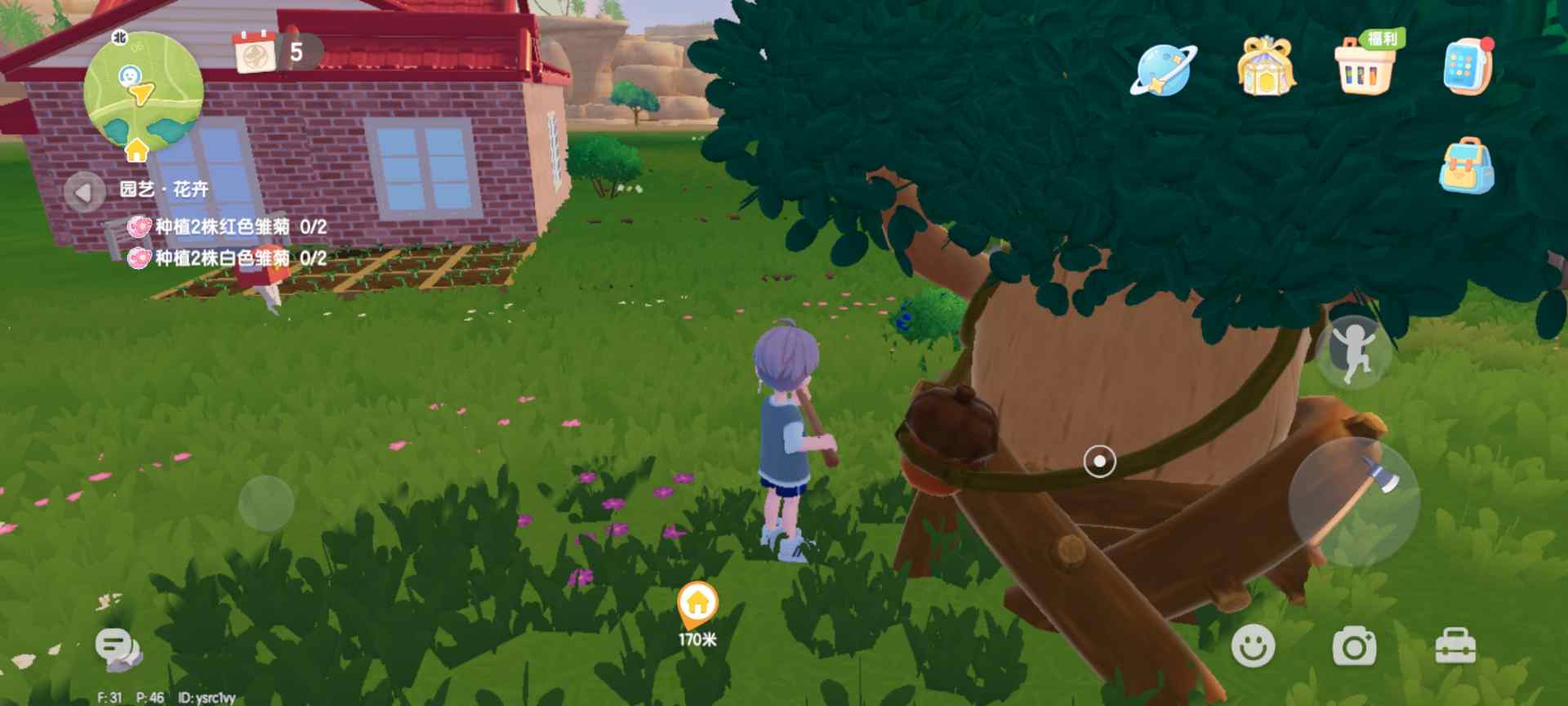 心动小镇每日萤石和橡木位置（持续更新中）(图25)