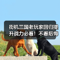 街机三国老玩家回归提升战力必看！不看后悔一辈子！（图2）