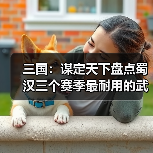 三国:谋定天下盘点蜀汉三个赛季最耐用的武将,至今是核心(图4) 三国:谋定天下盘点蜀汉三个赛季最耐用的武将,至今是核心(图4)