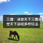 三国：谋定天下三国谋定天下游戏多样玩法（图4）