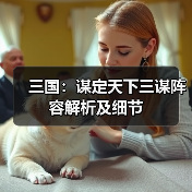 三国:谋定天下三谋阵容解析及细节(图2) 三国:谋定天下三谋阵容解析及细节(图2)