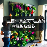 三国:谋定天下三谋阵容解析及细节(图4) 三国:谋定天下三谋阵容解析及细节(图4)