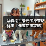 华夏绘世录元宝原来这样用【元宝使用攻略】（图1）