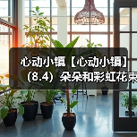 心动小镇【心动小镇】（8.4）朵朵和彩虹花束位置（图4）