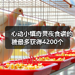 心动小镇奇灵夜食谱的糖最多获得4200个(图3) 心动小镇奇灵夜食谱的糖最多获得4200个(图3)