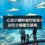 心动小镇林里柠檬茶小店在小镇里实装啦（图1）