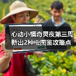 心动小镇奇灵夜第三周新出2种虫图鉴攻略点位图价格(图1) 心动小镇奇灵夜第三周新出2种虫图鉴攻略点位图价格(图1)