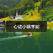 心动小镇羊驼（图1）