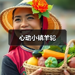 心动小镇羊驼（图2）