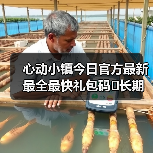 心动小镇今日官方最新最全最快礼包码❗长期更新(图3) 心动小镇今日官方最新最全最快礼包码❗长期更新(图3)
