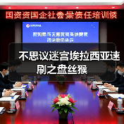 不思议迷宫埃拉西亚速刷之盘丝猴（图4）